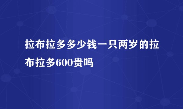 拉布拉多多少钱一只两岁的拉布拉多600贵吗