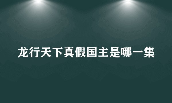 龙行天下真假国主是哪一集