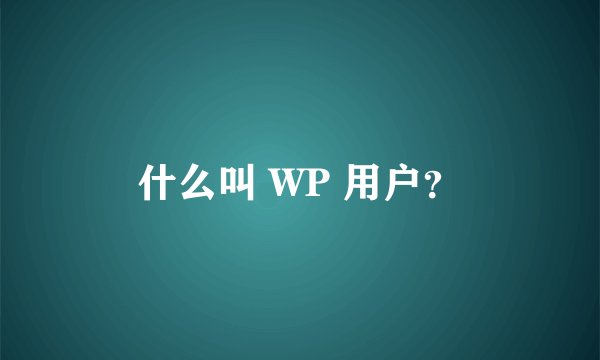 什么叫 WP 用户？