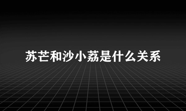 苏芒和沙小荔是什么关系