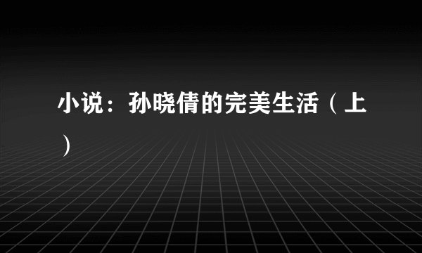 小说：孙晓倩的完美生活（上）