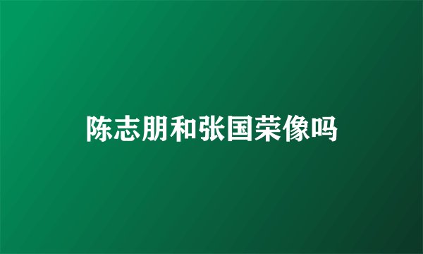 陈志朋和张国荣像吗