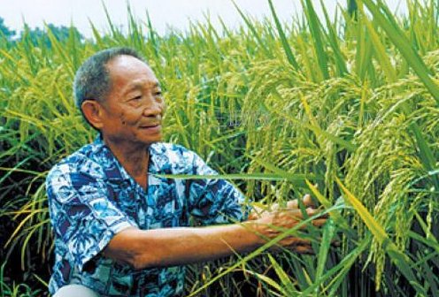 袁隆平的优秀事迹