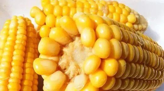 你如何看待玉米每吨上涨400元这件事？