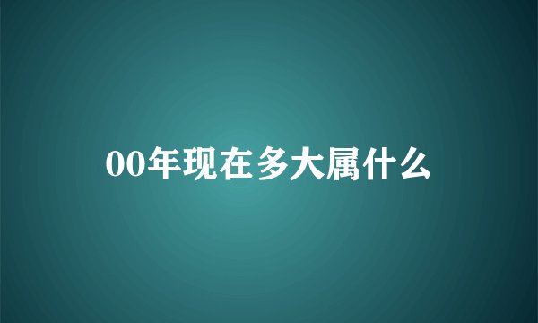 00年现在多大属什么