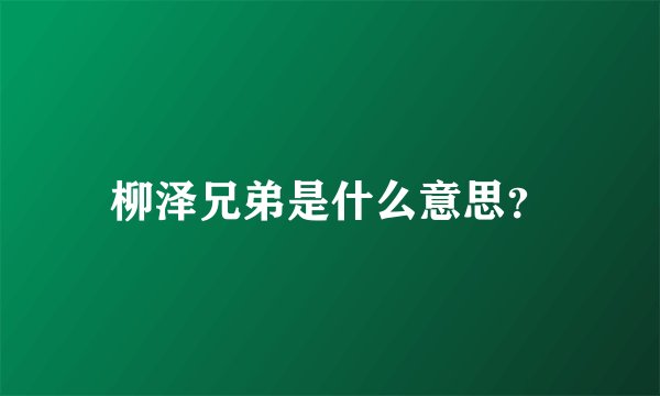 柳泽兄弟是什么意思？