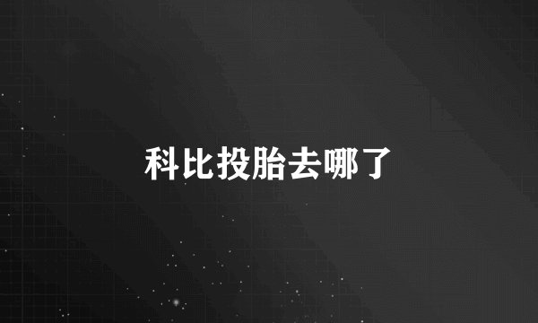 科比投胎去哪了