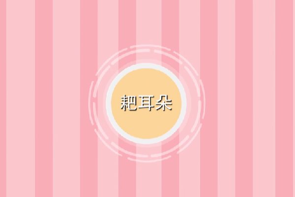 耙耳朵是啥意思啊