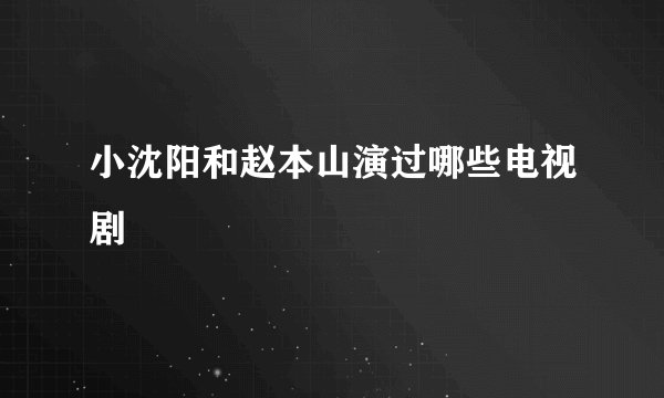 小沈阳和赵本山演过哪些电视剧
