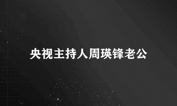 央视主持人周瑛锋老公