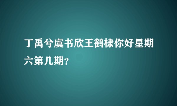 丁禹兮虞书欣王鹤棣你好星期六第几期？