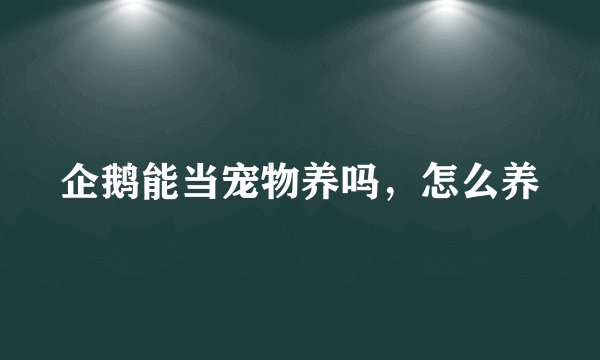 企鹅能当宠物养吗，怎么养