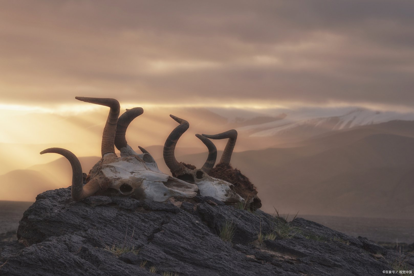 2022昆仑神宫18集