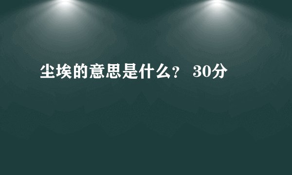 尘埃的意思是什么？ 30分