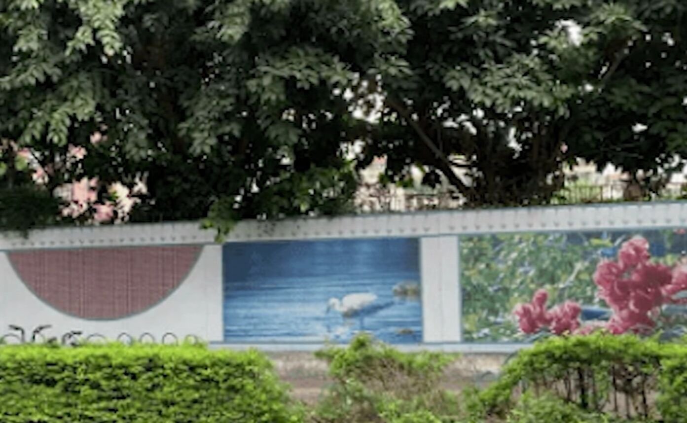 “太奇葩”厦门女司机冲过绿化带直接上人行道，1死1伤，这到底怎么回事？