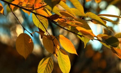 老人常说“凌晨立秋这个秋天就凉爽了”，有科学依据吗？