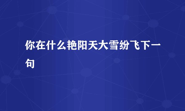 你在什么艳阳天大雪纷飞下一句