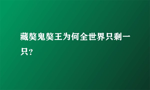 藏獒鬼獒王为何全世界只剩一只？
