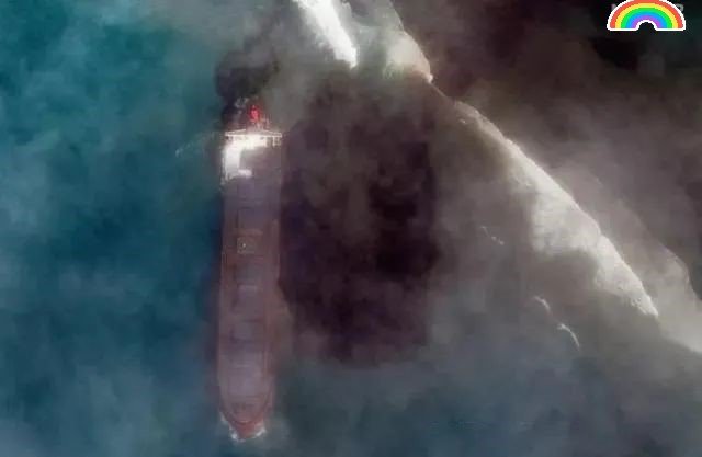 毛里求斯燃油泄漏妇女捐发吸油是怎么回事