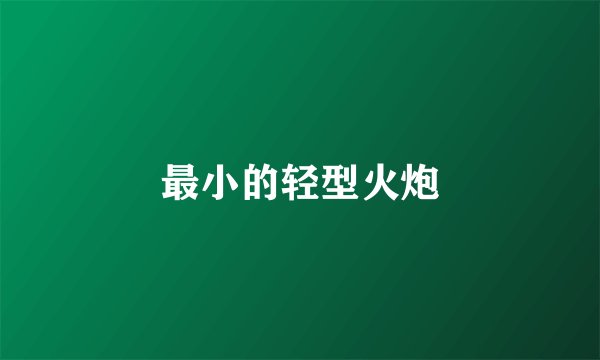 最小的轻型火炮