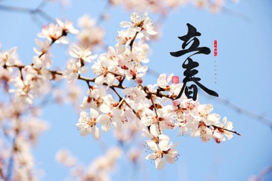 属于立春的风俗活动有哪些