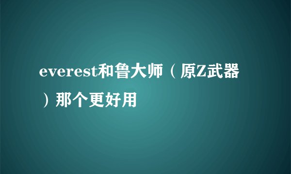 everest和鲁大师（原Z武器）那个更好用