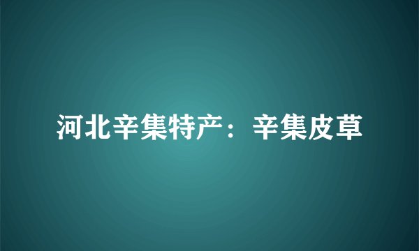 河北辛集特产：辛集皮草