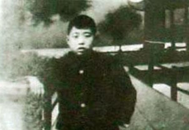 中国少年先锋队的先进人物及事例