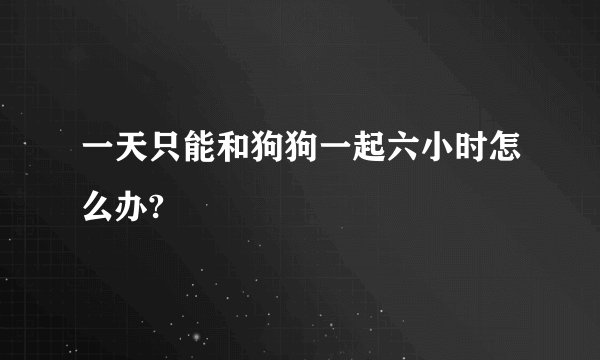 一天只能和狗狗一起六小时怎么办?