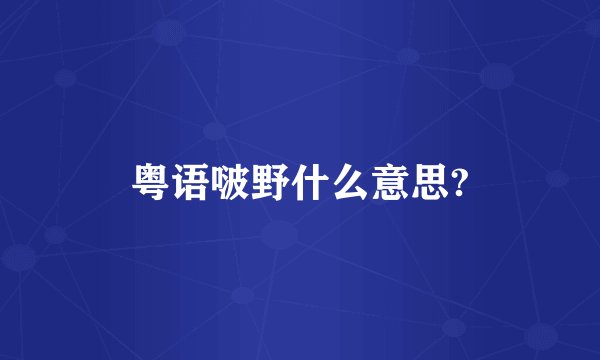 粤语啵野什么意思?