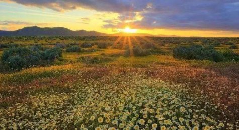 飞机遇强气流，女乘客伸手默默保护下蹲避险空姐，如何看待她的这番善举？