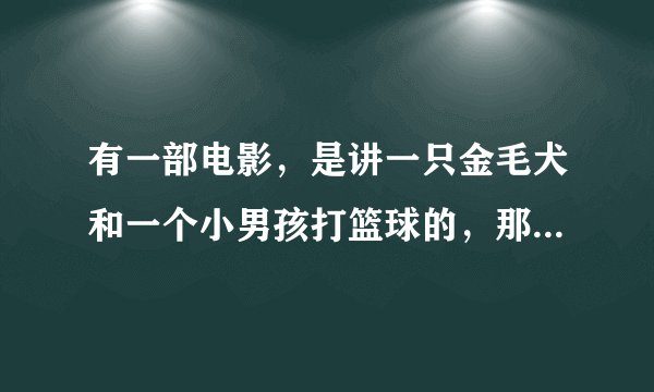 有一部电影，是讲一只金毛犬和一个小男孩打篮球的，那只狗穿这队服和鞋子和男孩一起参加比赛，那只狗好像