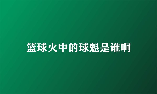 篮球火中的球魁是谁啊