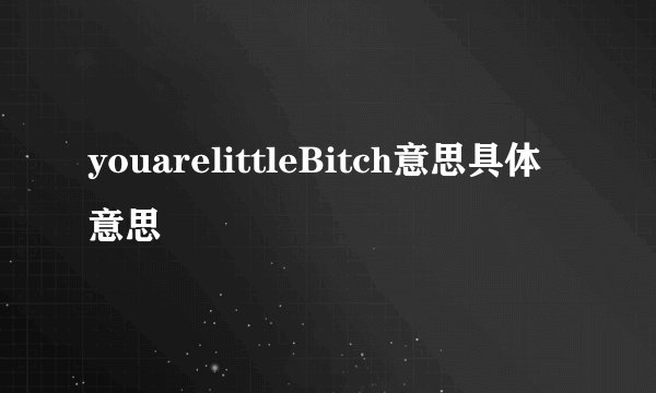 youarelittleBitch意思具体意思