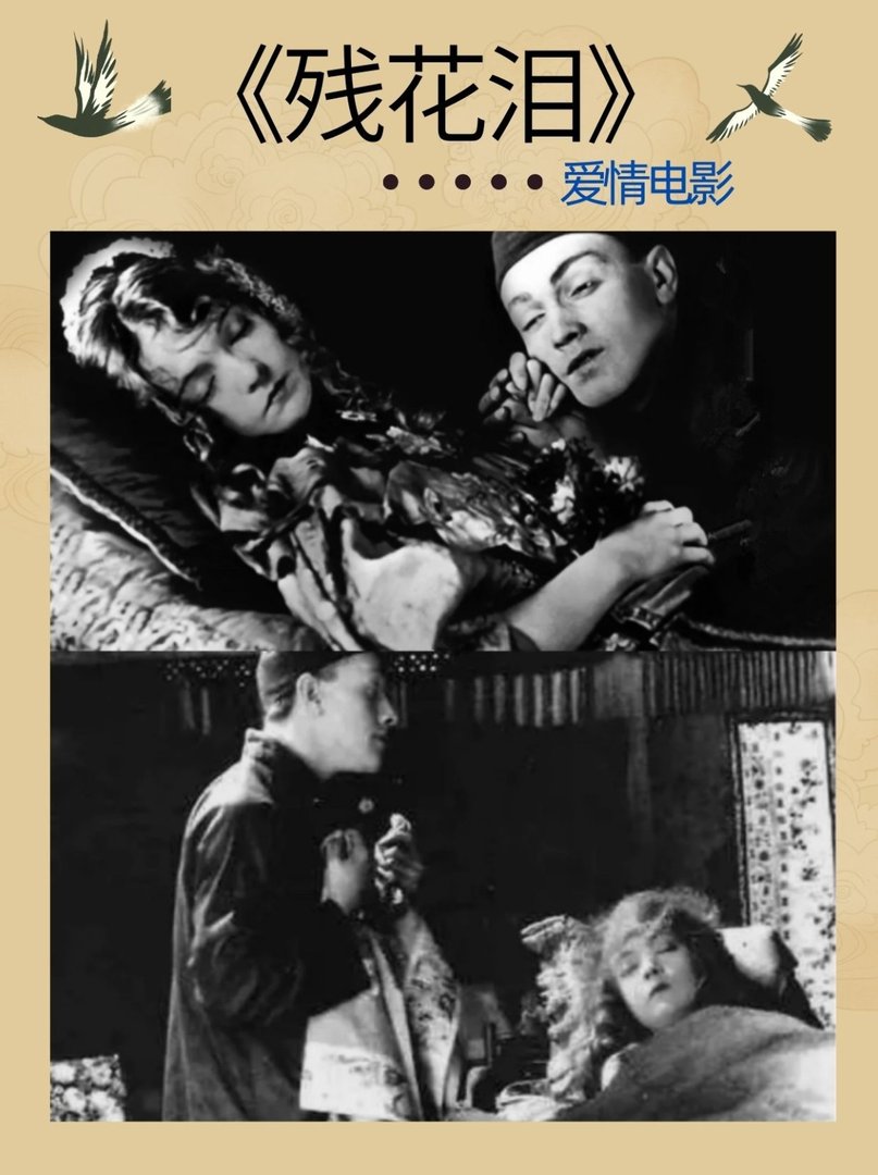 求分享爱情电影《残花泪》