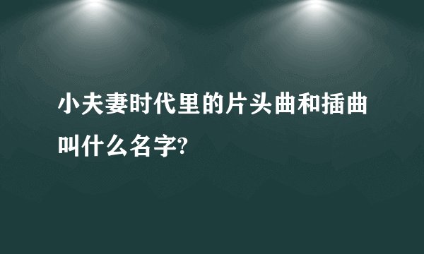小夫妻时代里的片头曲和插曲叫什么名字?