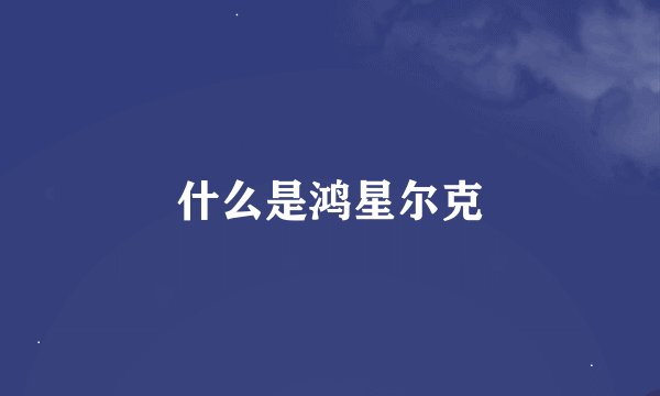 什么是鸿星尔克