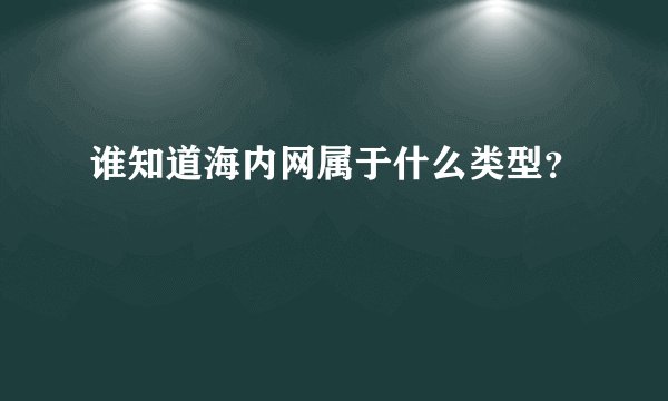 谁知道海内网属于什么类型?