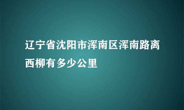 辽宁省沈阳市浑南区浑南路离西柳有多少公里