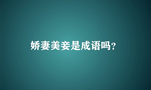 娇妻美妾是成语吗？