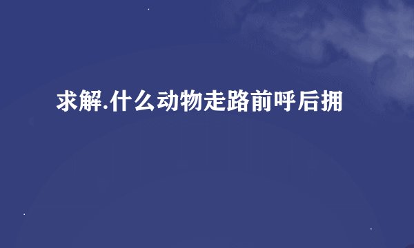 求解.什么动物走路前呼后拥