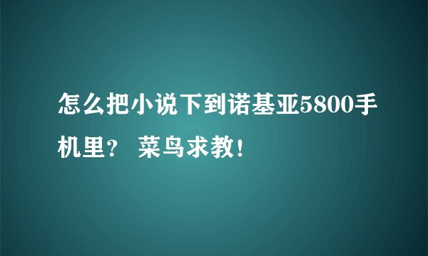 怎么把小说下到诺基亚5800手机里？ 菜鸟求教！