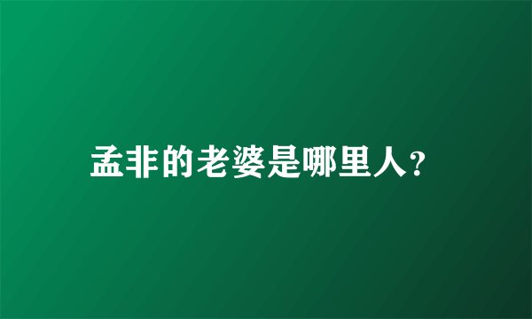 孟非的老婆是哪里人？