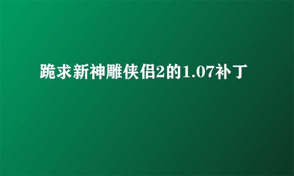 跪求新神雕侠侣2的1.07补丁