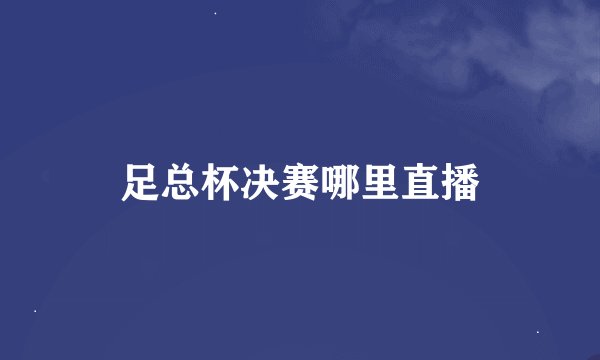 足总杯决赛哪里直播