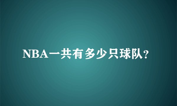 NBA一共有多少只球队？