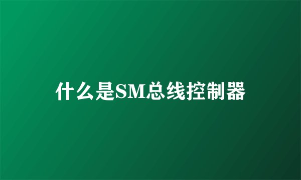 什么是SM总线控制器
