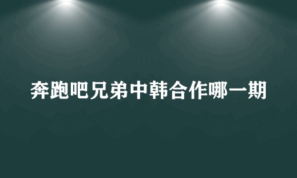 奔跑吧兄弟中韩合作哪一期