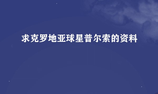 求克罗地亚球星普尔索的资料