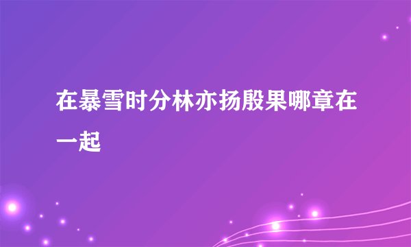 在暴雪时分林亦扬殷果哪章在一起